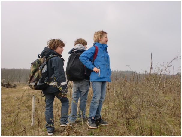 584x433 pixels (96K)