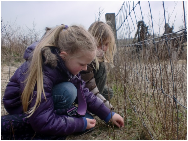 584x433 pixels (118K)