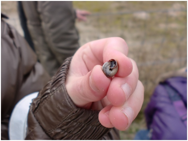 584x433 pixels (64K)