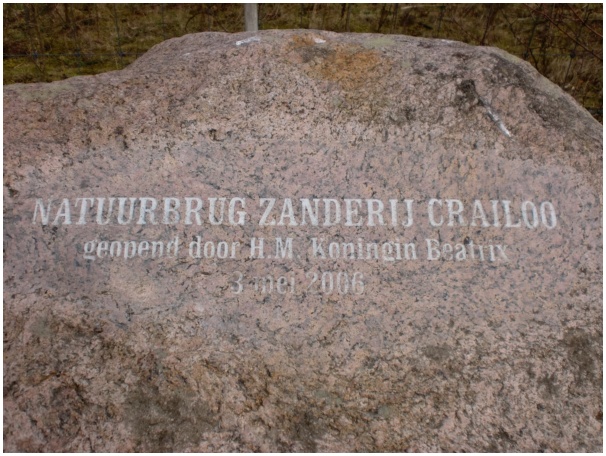 584x433 pixels (148K)