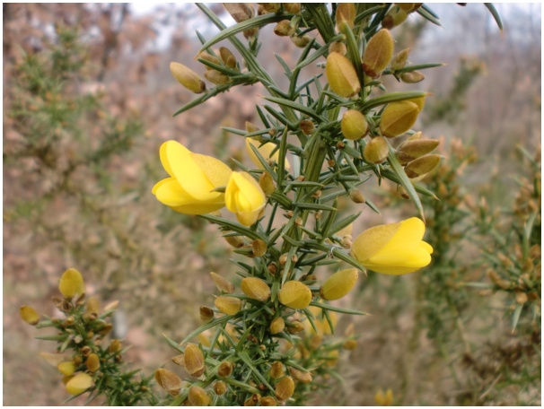 584x433 pixels (107K)