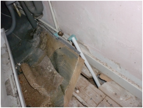 584x433 pixels (83K)