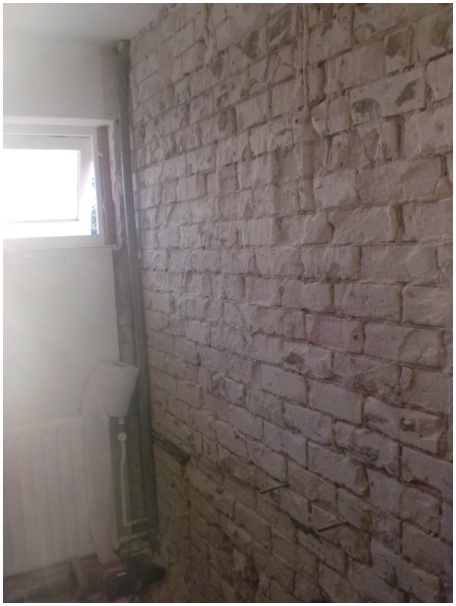 434x583 pixels (77K)