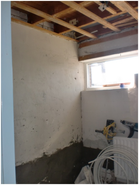 434x583 pixels (66K)