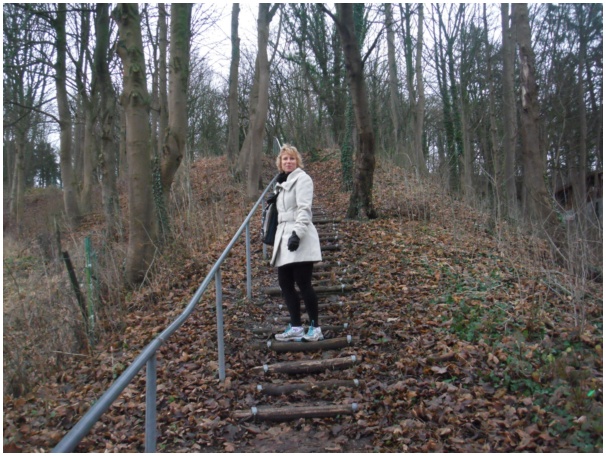 584x433 pixels (157K)