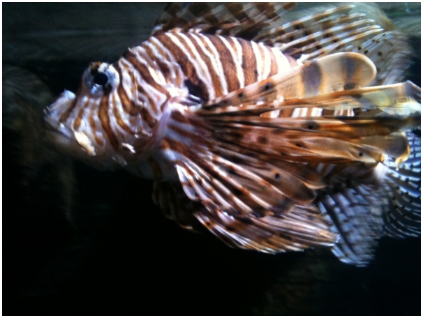 584x433 pixels (90K)