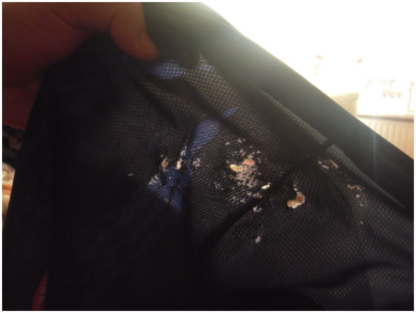 584x433 pixels (62K)