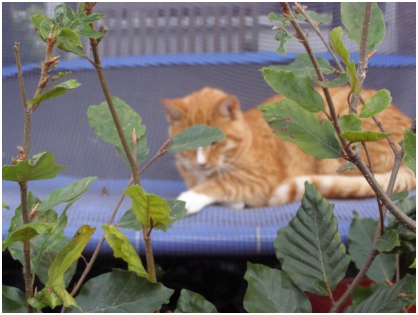 584x433 pixels (104K)