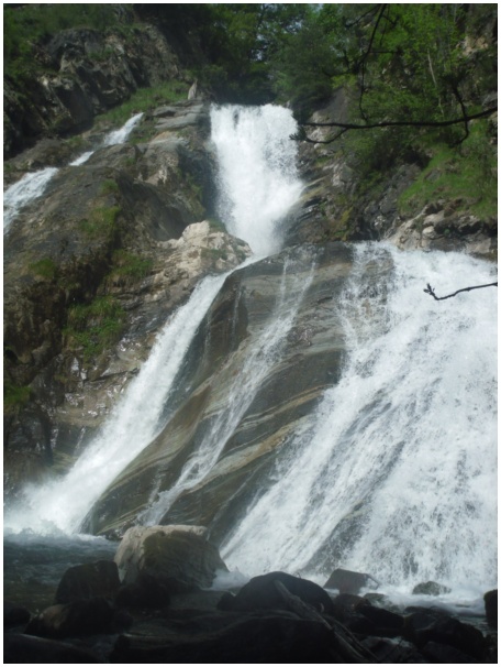 434x583 pixels (111K)