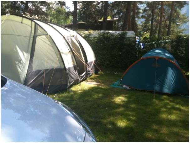 584x433 pixels (112K)