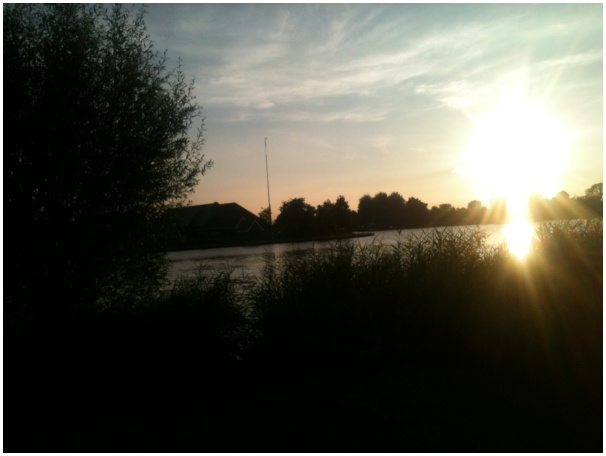 584x433 pixels (54K)