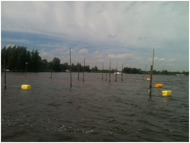 584x433 pixels (69K)