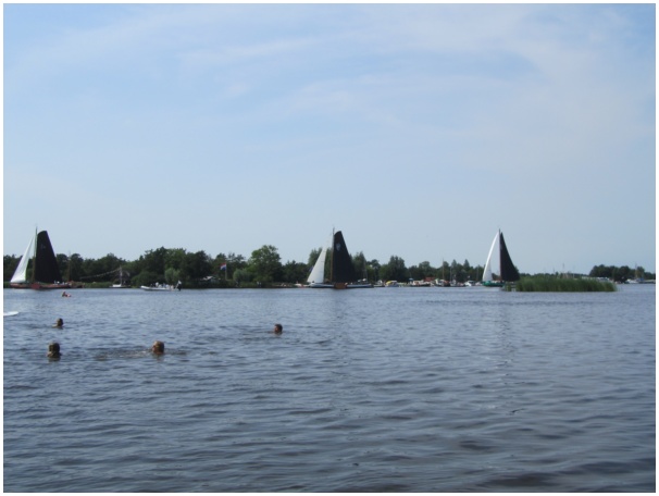 584x433 pixels (65K)