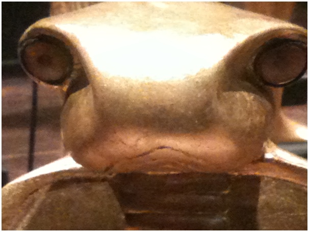 584x433 pixels (82K)