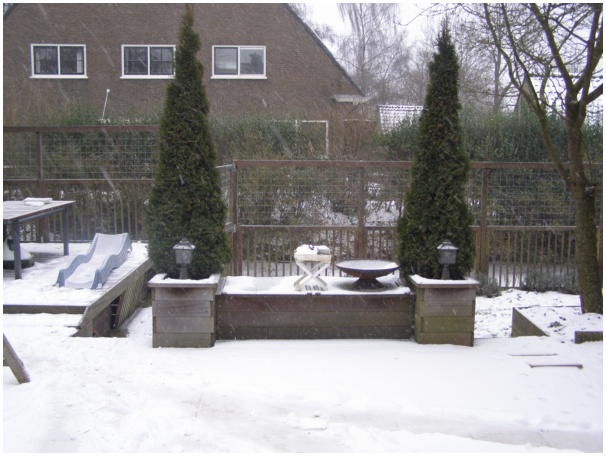 584x433 pixels (112K)