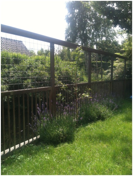 434x583 pixels (128K)