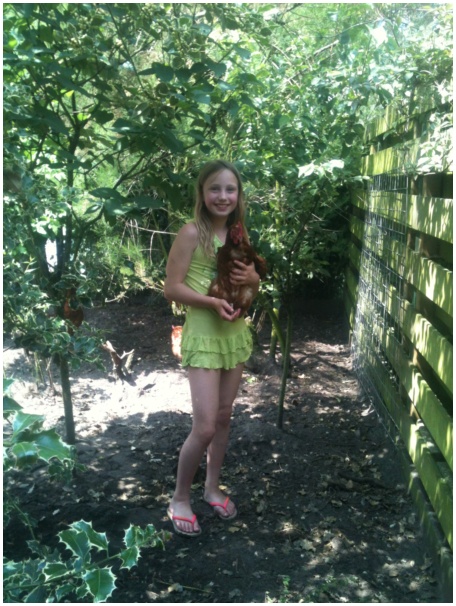 434x583 pixels (157K)