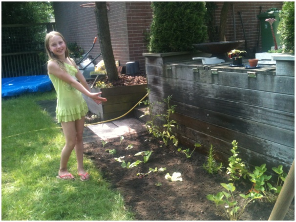 584x433 pixels (122K)