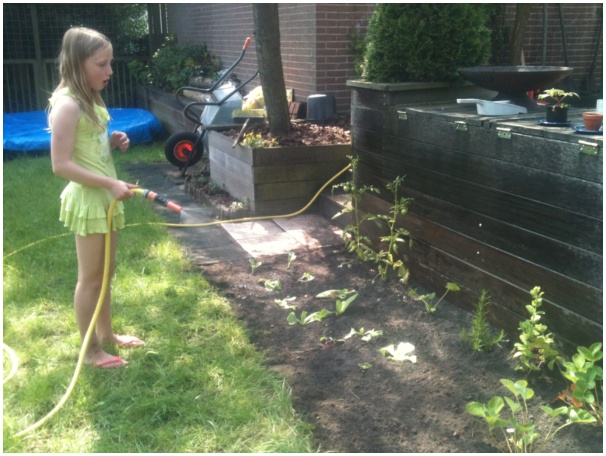 584x433 pixels (123K)