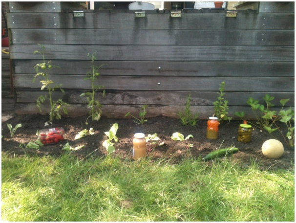 584x433 pixels (124K)