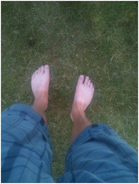 434x583 pixels (104K)