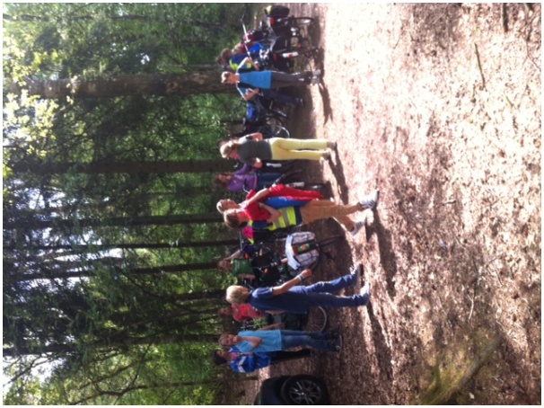 584x431 pixels (145K)