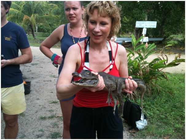 584x433 pixels (129K)