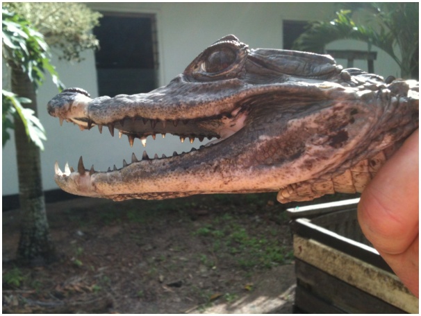 584x433 pixels (97K)