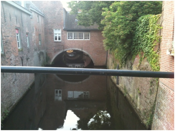 584x433 pixels (106K)