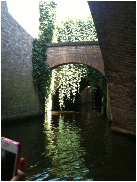 434x583 pixels (112K)