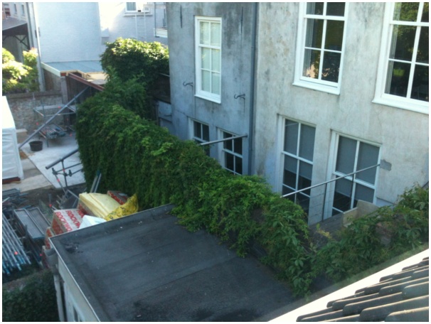 584x433 pixels (108K)