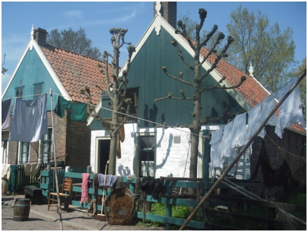 584x433 pixels (125K)