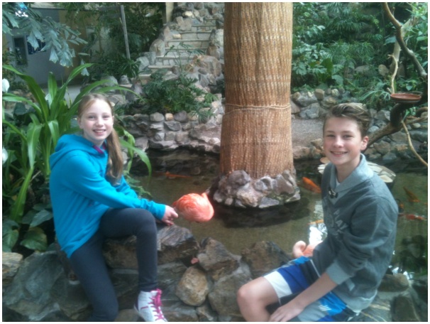 584x433 pixels (118K)