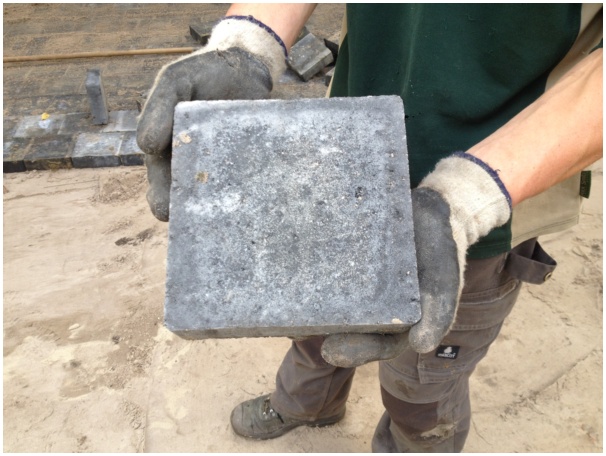 584x433 pixels (113K)