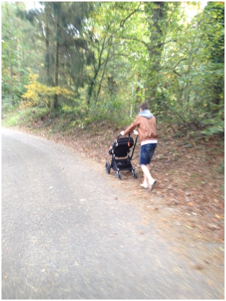 434x583 pixels (126K)