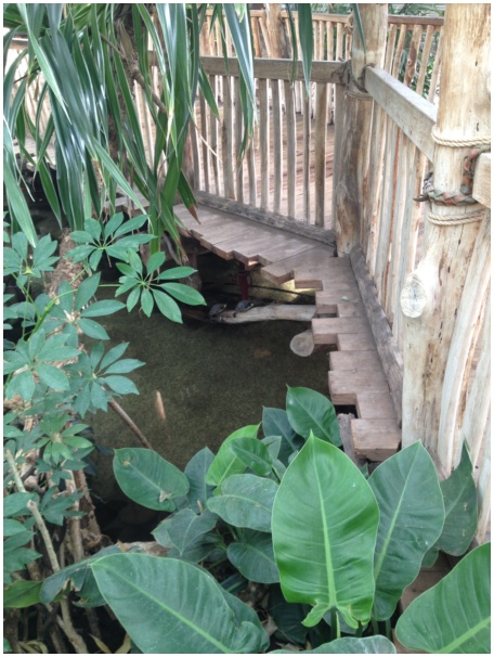 434x583 pixels (134K)