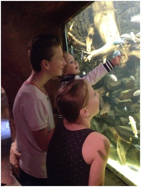 434x583 pixels (95K)