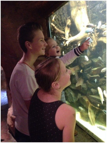 434x583 pixels (94K)