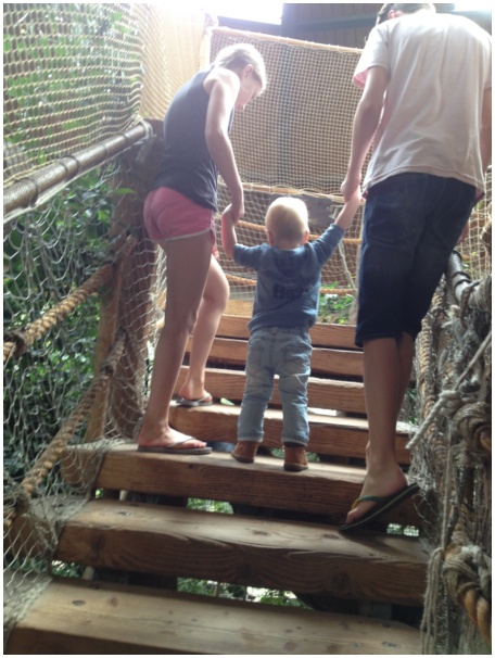 434x583 pixels (119K)