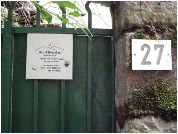 584x433 pixels (130K)