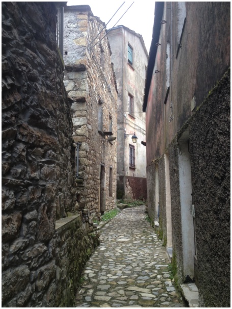 434x583 pixels (135K)