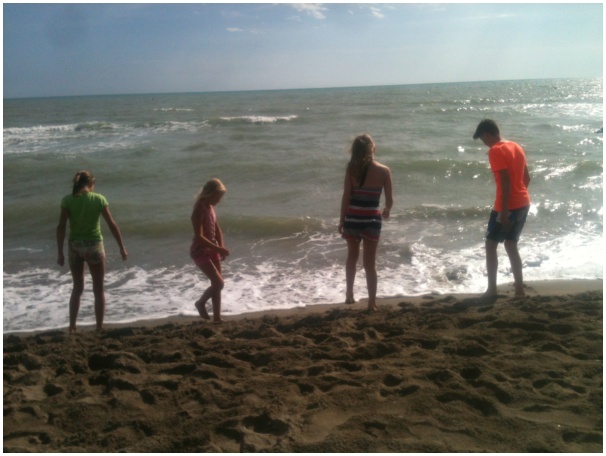 584x433 pixels (92K)