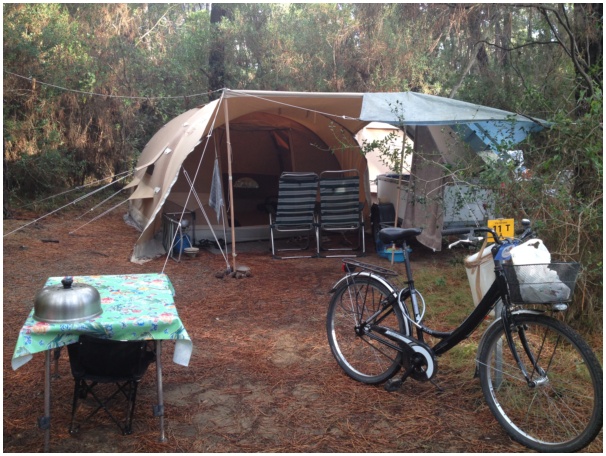 584x433 pixels (152K)