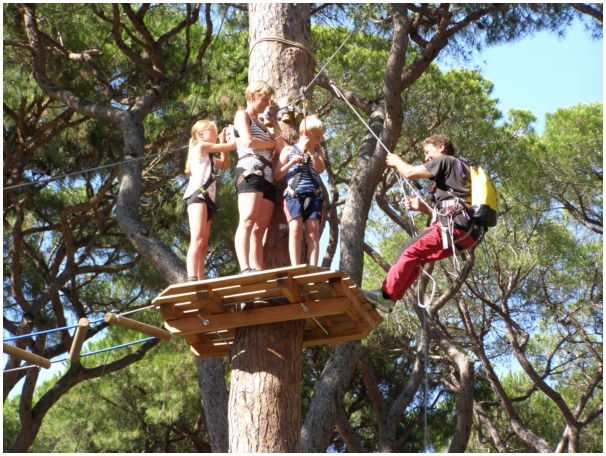 584x433 pixels (184K)