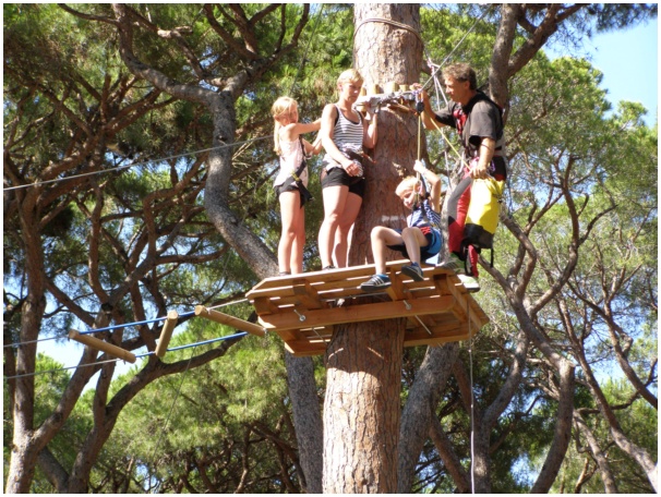 584x433 pixels (186K)