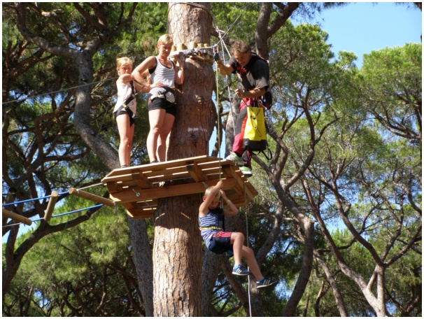 584x433 pixels (179K)