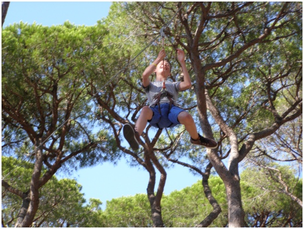 584x433 pixels (169K)