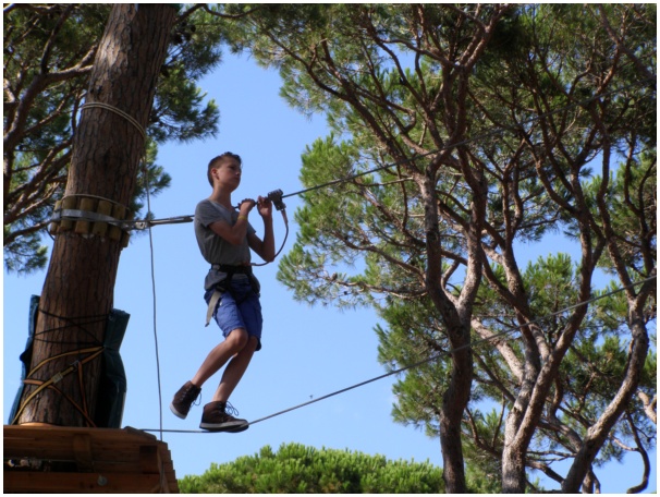 584x433 pixels (156K)