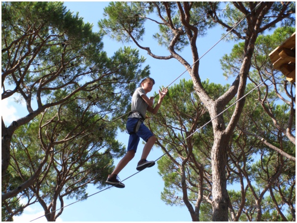 584x433 pixels (183K)