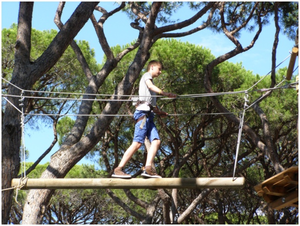 584x433 pixels (178K)